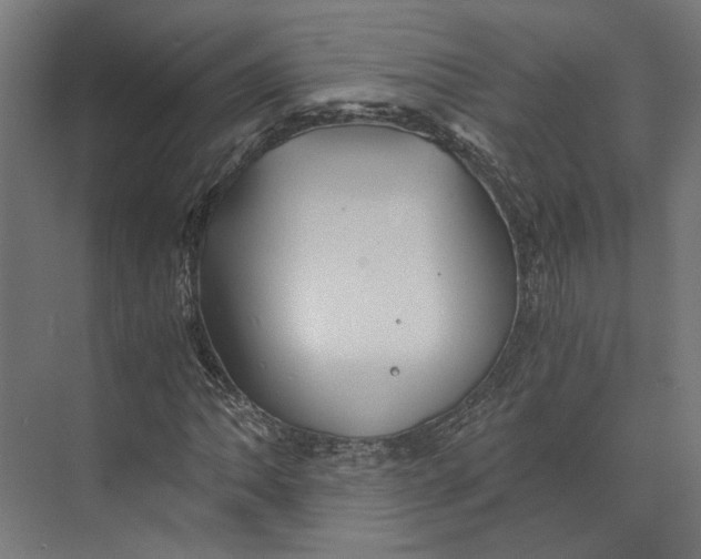 X0000073701062200608241411