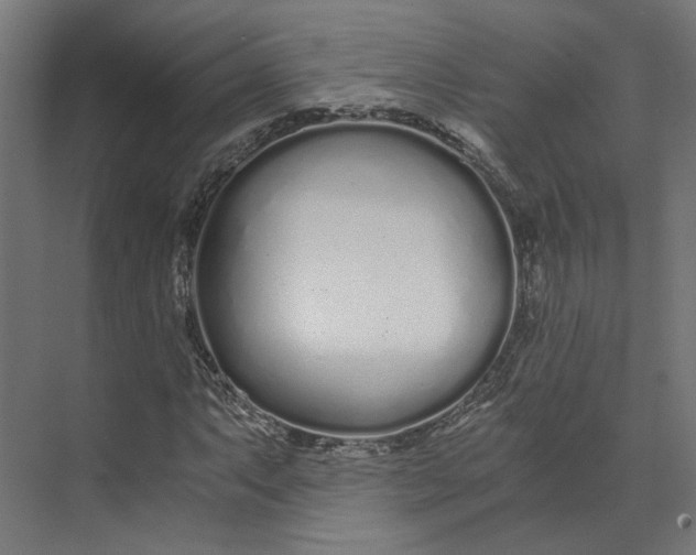 X0000073701063200608241411