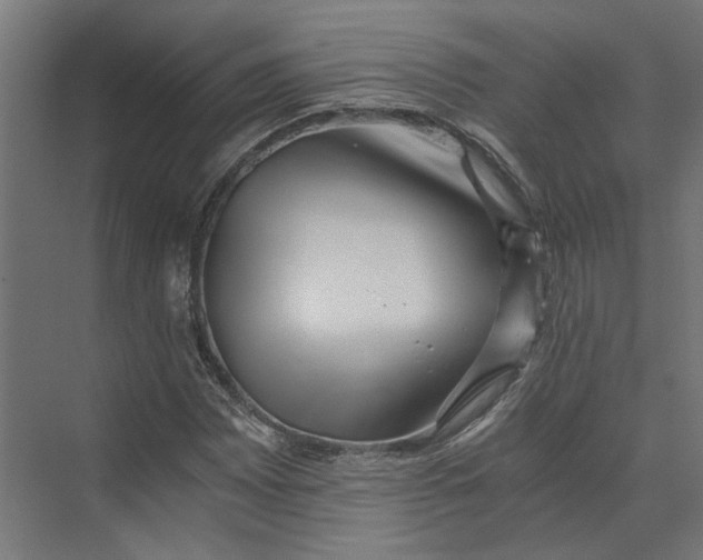 X0000073701065200608241411