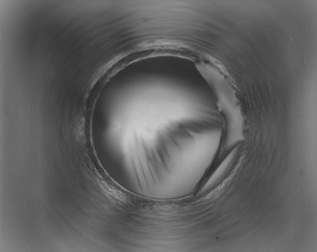 X0000073701066200608241411