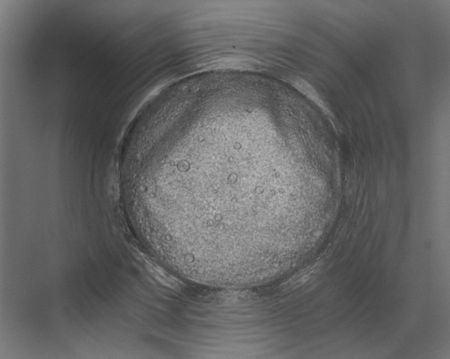 X0000073701067200608241411