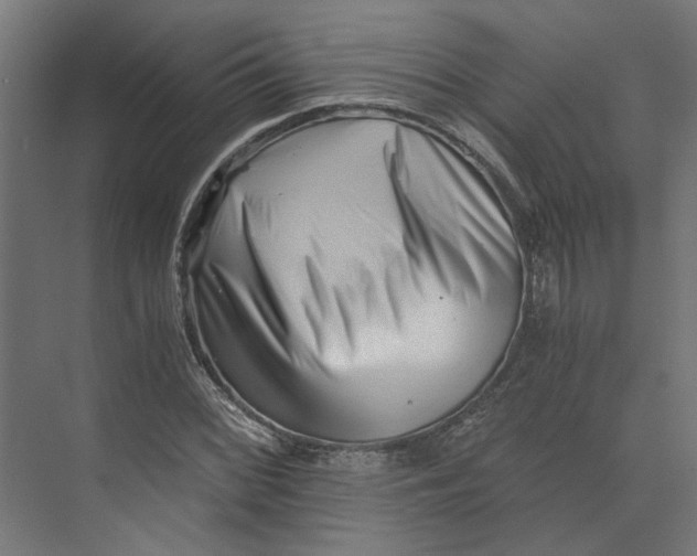 X0000073701068200608241411