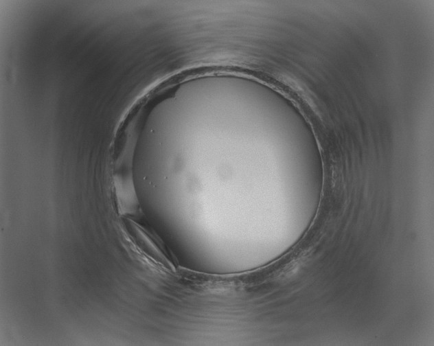 X0000073701069200608241411