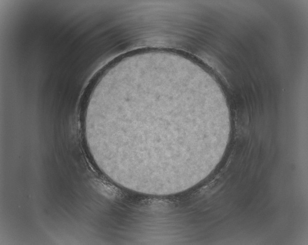 X0000073701070200608241411