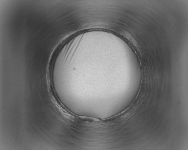 X0000073701072200608241411