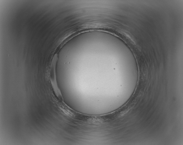 X0000073701073200608241411