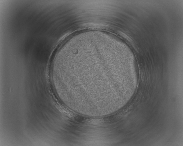 X0000073701074200608241411