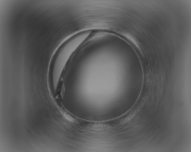 X0000073701077200608241411