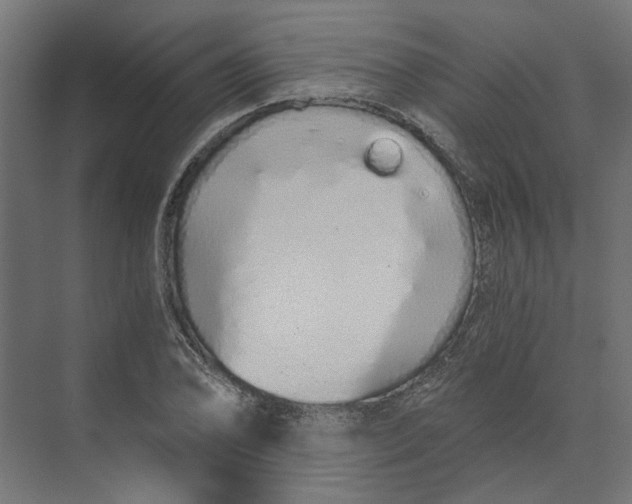 X0000073701078200608241411