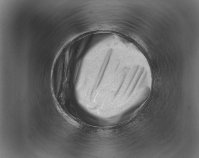 X0000073701080200608241411