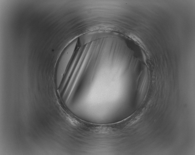 X0000073701081200608241411