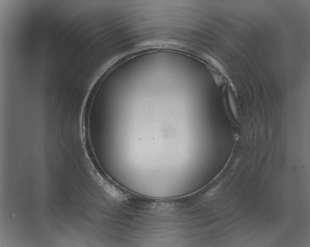 X0000073701082200608241411