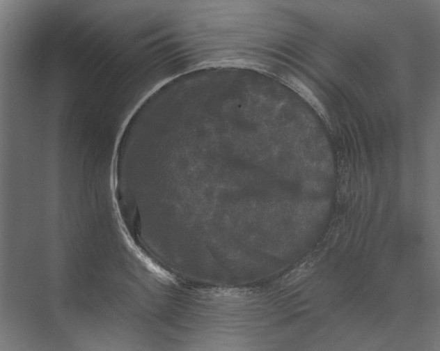 X0000073701084200608241411