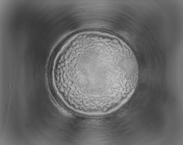 X0000073701086200608241411