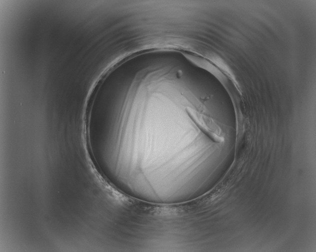 X0000073701088200608241411