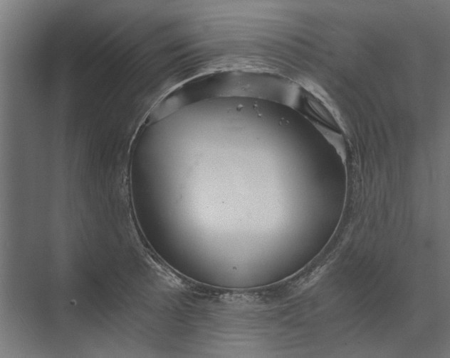 X0000073701089200608241411