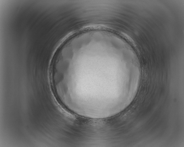 X0000073701090200608241411