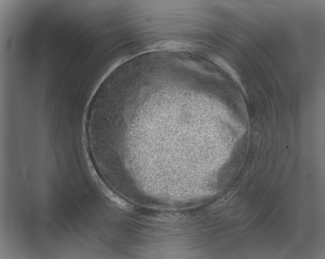 X0000073701091200608241411