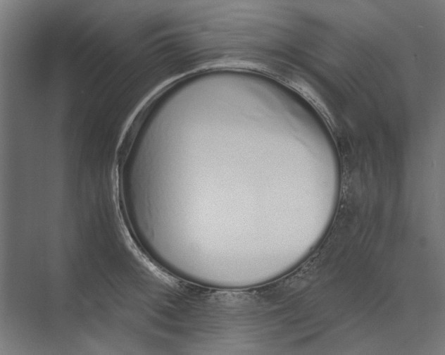 X0000073701092200608241411