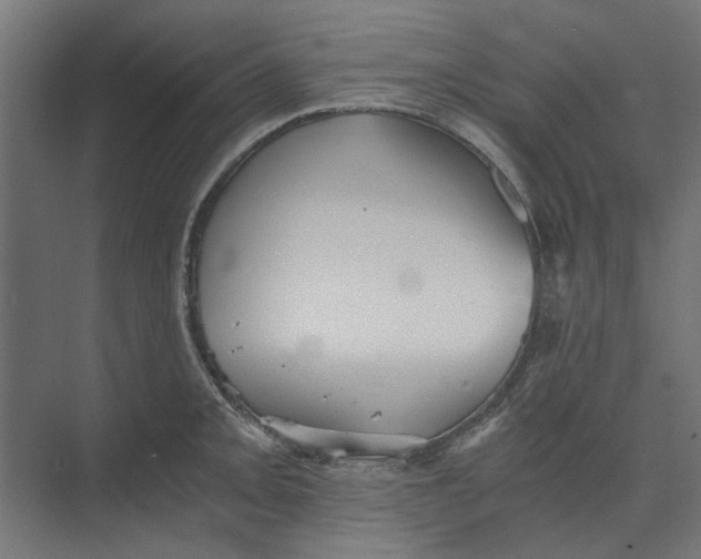 X0000073701093200608241411