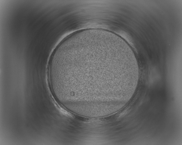 X0000073701094200608241411