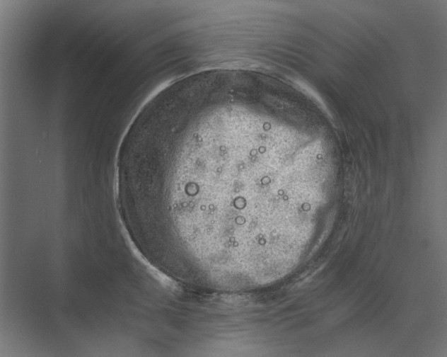 X0000073701095200608241411