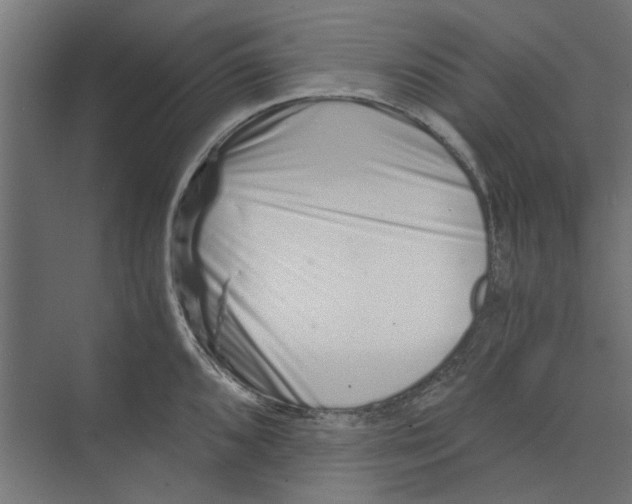 X0000073701096200608241411