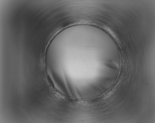 X0000073701097200608241411