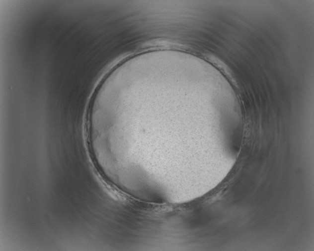 X0000073701098200608241411