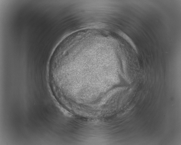 X0000073701099200608241411