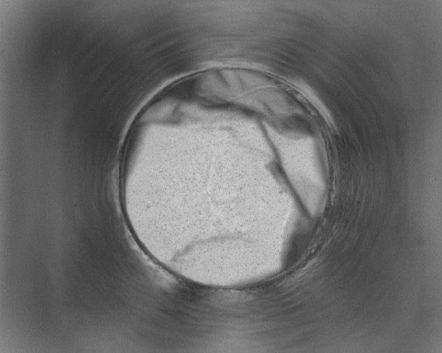 X0000073701100200608241410