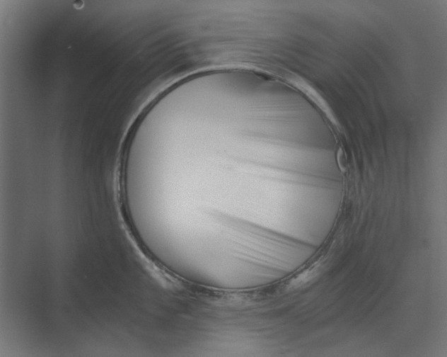 X0000073701101200608241410