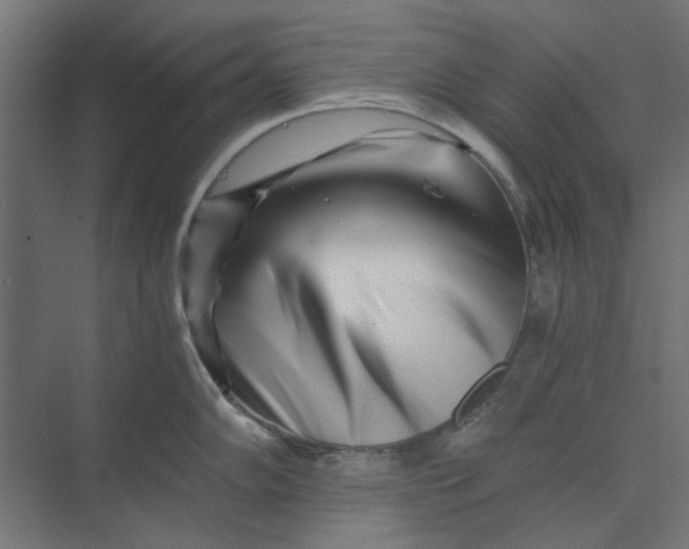 X0000073701102200608241410