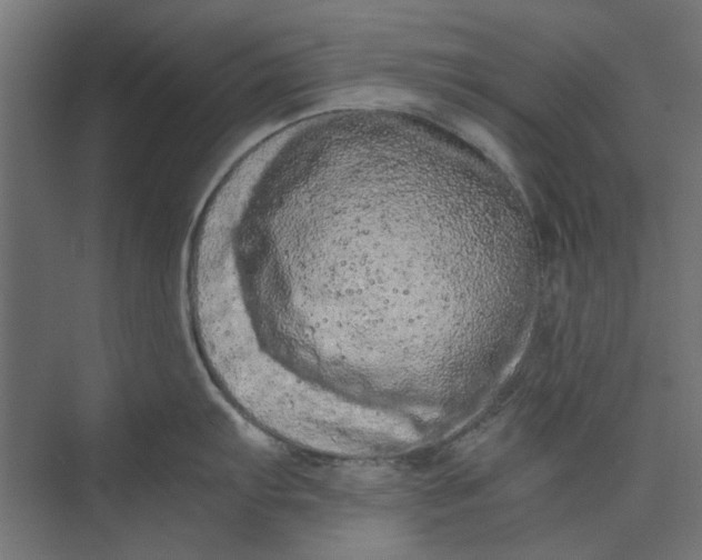 X0000073701103200608241410