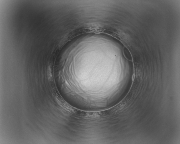 X0000073701106200608241410