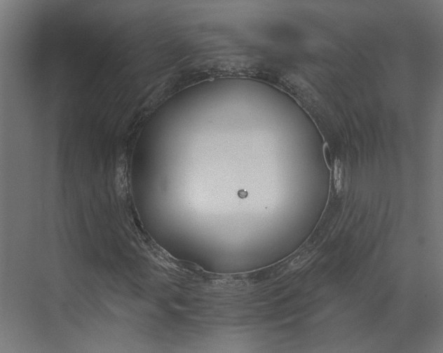 X0000073701107200608241410