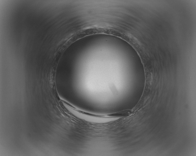 X0000073701110200608241410