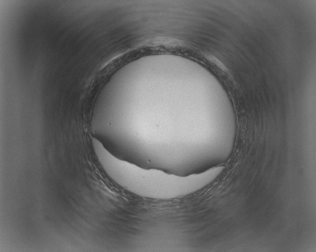 X0000073701112200608241410