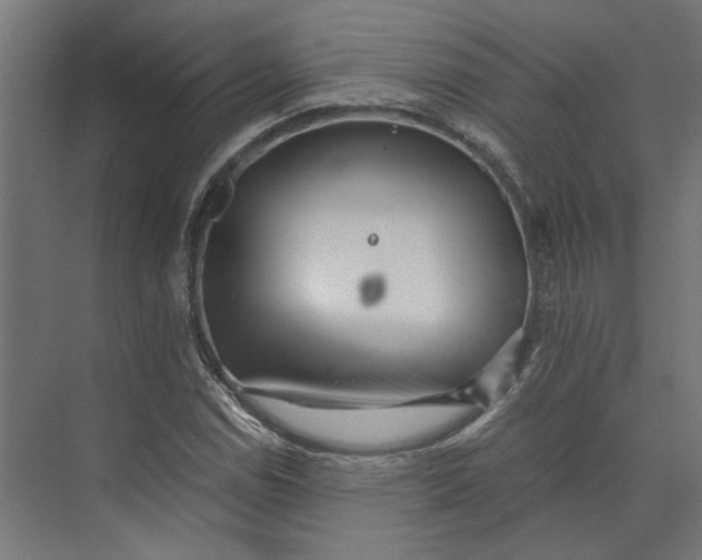 X0000073701114200608241410