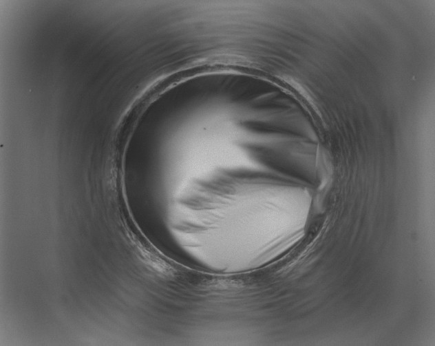 X0000073701115200608241410