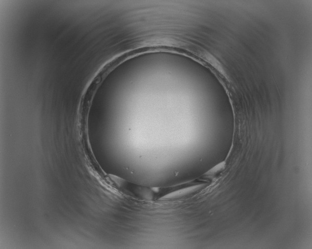 X0000073701116200608241410