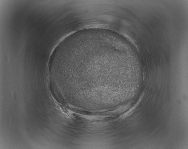 X0000073701117200608241410