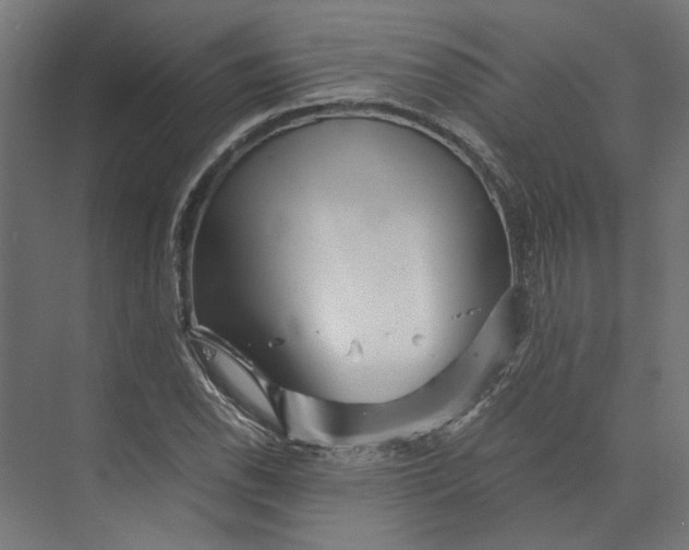 X0000073701118200608241410