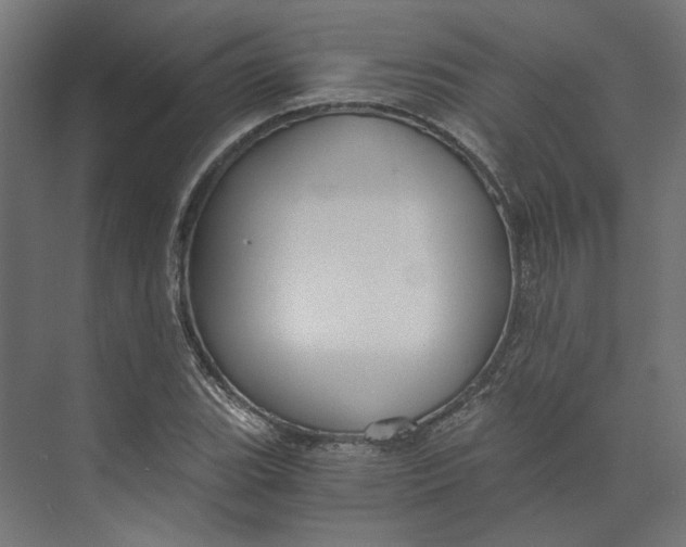 X0000073701119200608241410