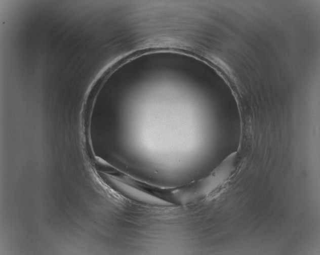 X0000073701120200608241410