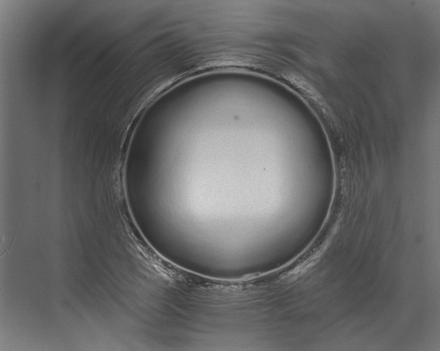 X0000073701121200608241410