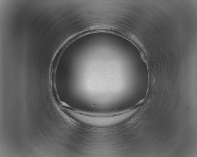 X0000073701124200608241410