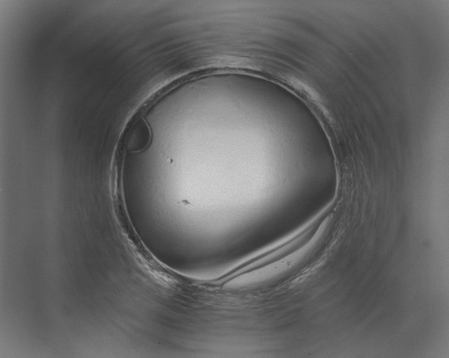 X0000073701125200608241410