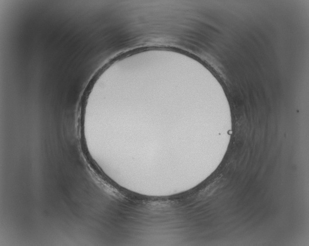 X0000073701126200608241410