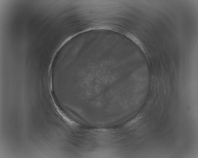 X0000073701127200608241410